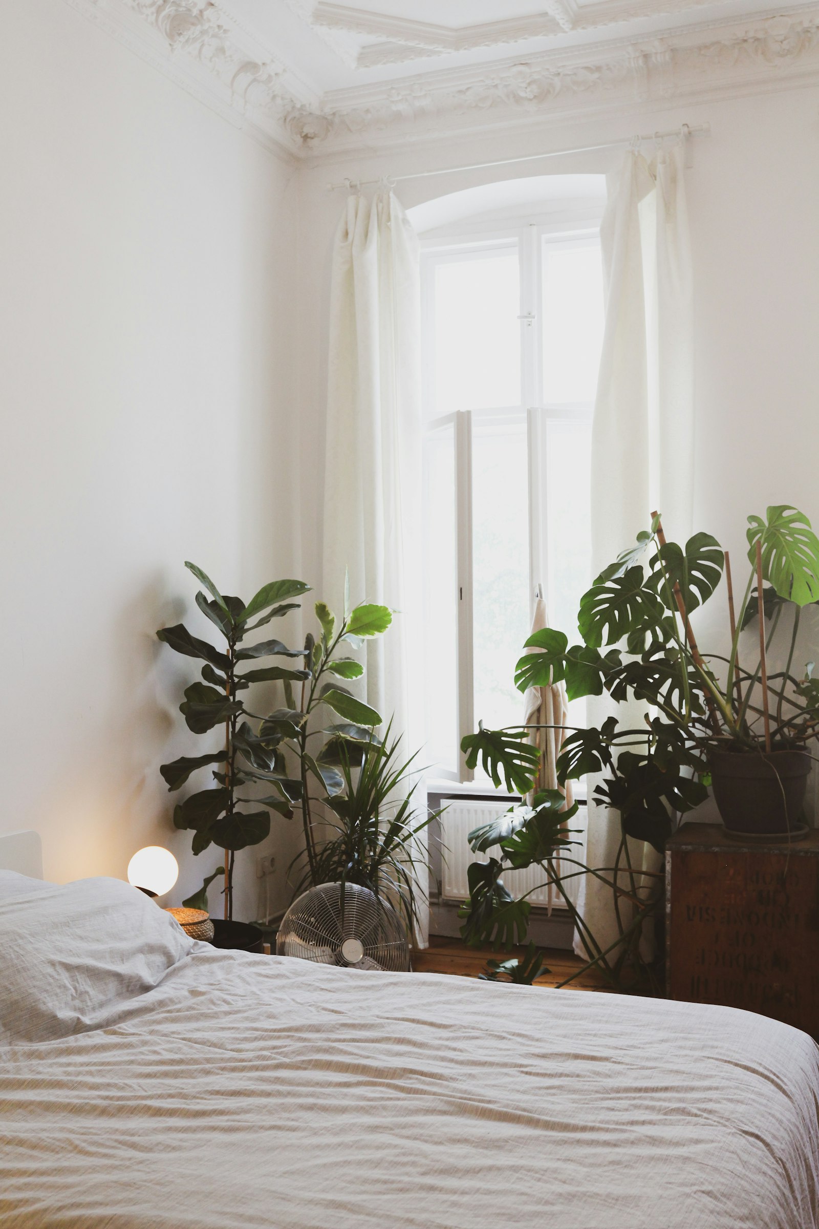 Vakantiehuis Kamer Duin