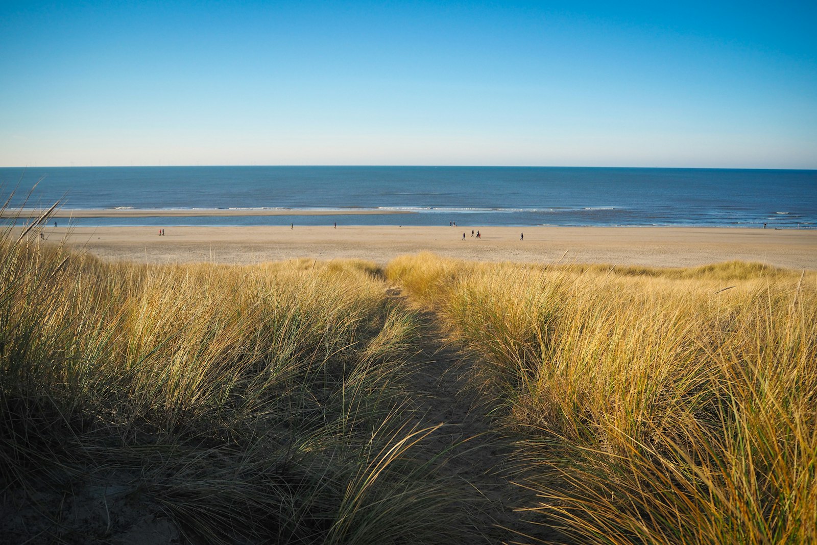 Veere